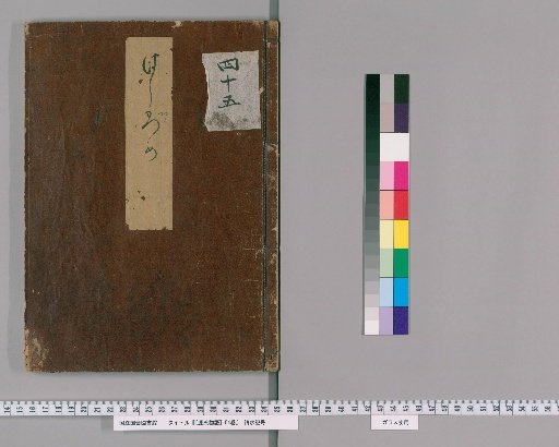 The Tale of Genji, 54 Volumes [45]
