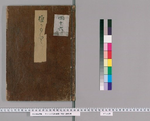 The Tale of Genji, 54 Volumes [46]