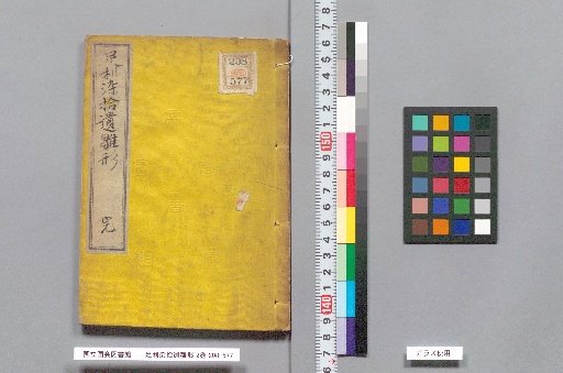 Ashikaga Dyeing Remnants: Doll Patterns, 2 Volumes