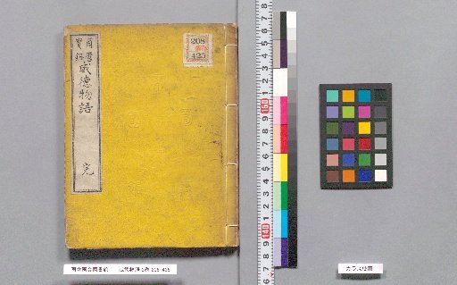 Tale of Virtue and Power, 2 Volumes