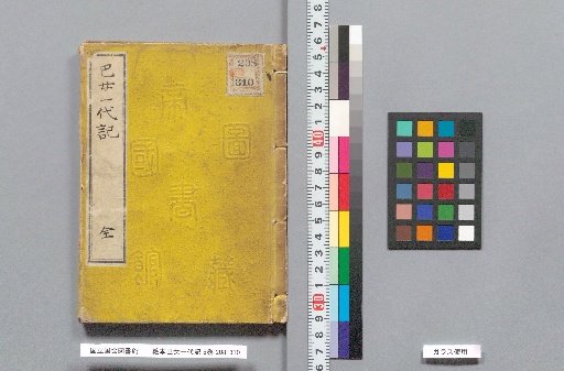 Picture Book: The Life of Tomoe, 5 vols.