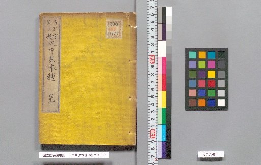 The Great Black God: The Original Seed, 3 vols.