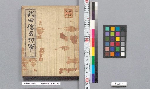 Takeda Shingen's First Campaign, 2 Volumes