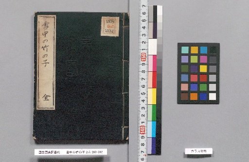 Bamboo Shoots in the Snow, 2 volumes