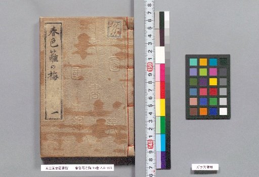 Spring Colors: Plum Blossoms on the Hedge, Volume 15, Part 1
