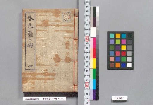 Spring Colors: Plum Blossoms on the Hedge, Volume 15, Part 4