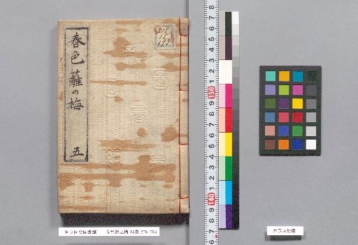 Spring Colors: Plum Blossoms on the Hedge, Volume 15, Part 5