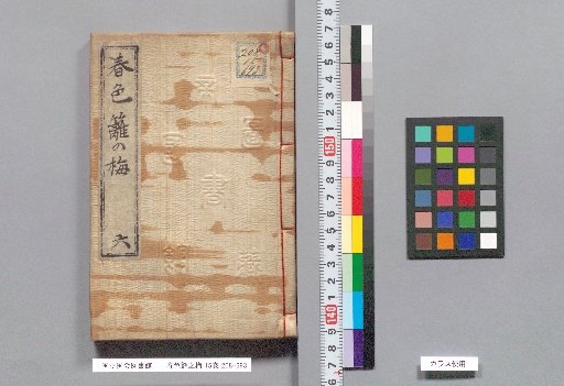 Spring Colors: Plum Blossoms on the Hedge, Volume 15, Part 6