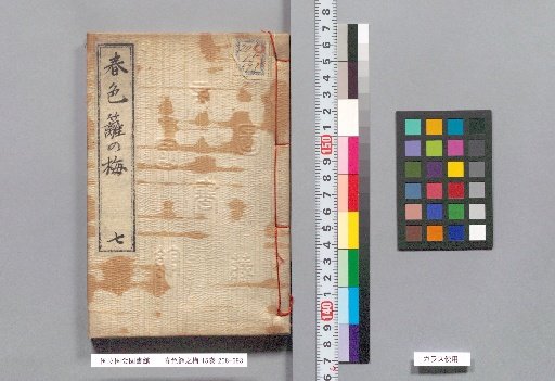Spring Colors: Plum Blossoms on the Hedge, Volume 15, Part 7