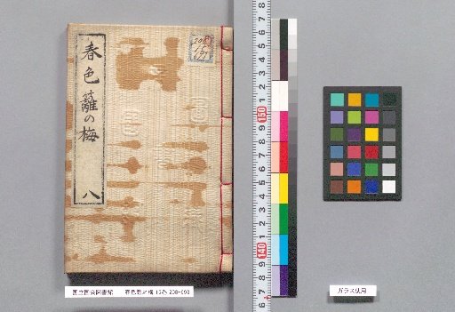 Spring Colors: Plum Blossoms on the Hedge, Volume 15, Part 8