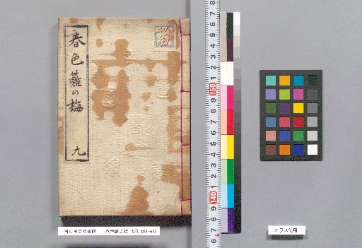 Spring Colors: Plum Blossoms on the Hedge, Volume 15, Part 9