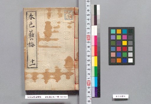 Spring Colors: Plum Blossoms on the Hedge, Volume 15, Part 11