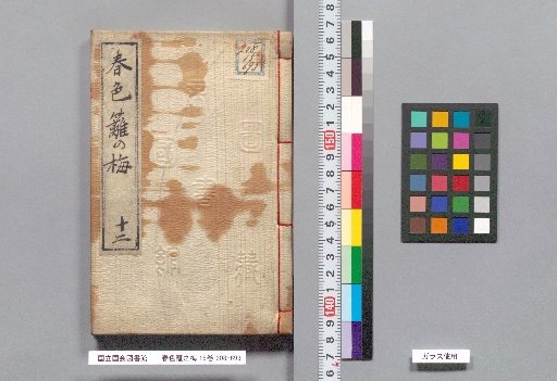 Spring Colors: Plum Blossoms on the Hedge, Volume 15, Part 12