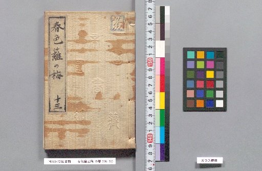 Spring Colors: Plum Blossoms on the Hedge, Volume 15, Part 13