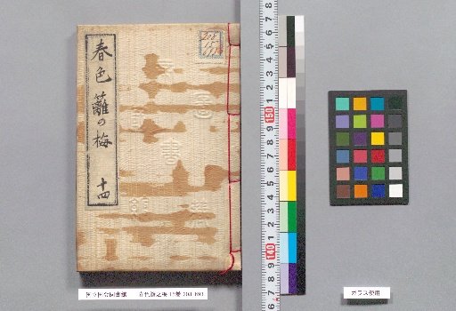 Spring Colors: Plum Blossoms on the Hedge, Volume 15, Part 14