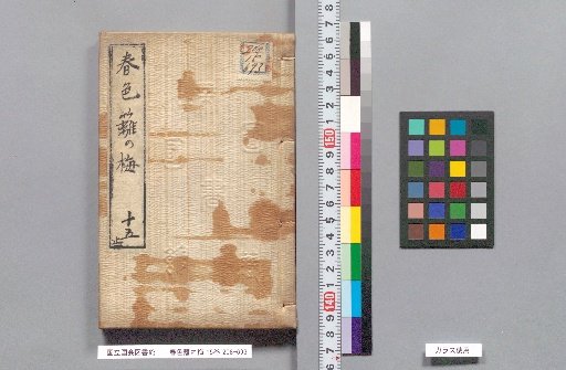 Spring Colors: Plum Blossoms on the Hedge, Volume 15, Part 15