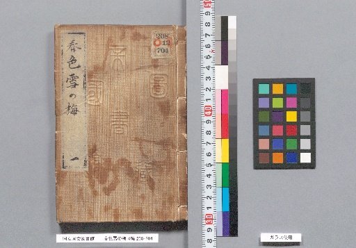 Spring Colors: Snowy Plum Blossoms, Part 4, Volume 1