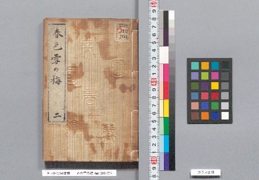 Spring Colors: Snowy Plum Blossoms, Part 4, Volume 2