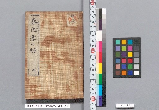 Spring Colors: Snowy Plum Blossoms, Part 4, Volume 3