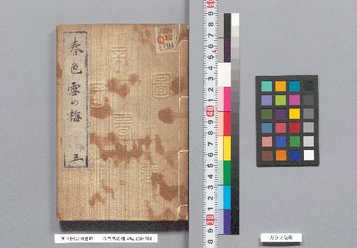 Spring Colors: Snowy Plum Blossoms, Part 4, Volume 4
