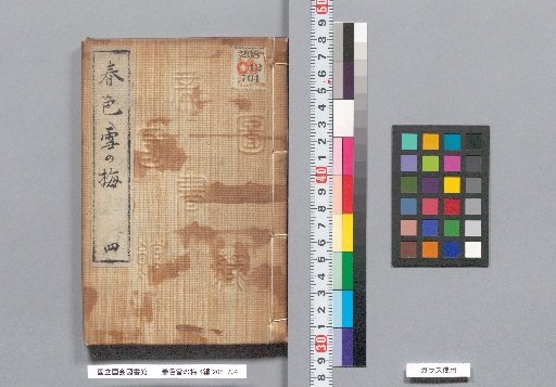 Spring Colors: Snowy Plum Blossoms, Part 4, Volume 5