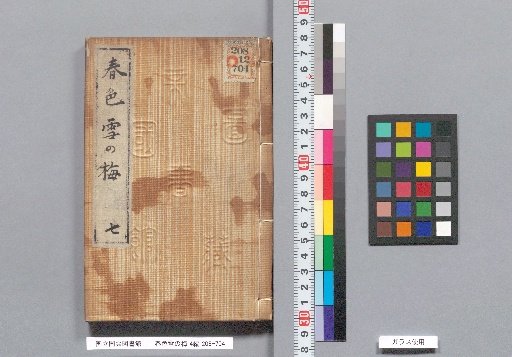 Spring Colors: Snowy Plum Blossoms, Part 4, Volume 7