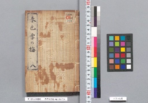Spring Colors: Snowy Plum Blossoms, Part 4, Volume 8