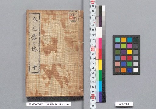 Spring Colors: Snowy Plum Blossoms, Part 4, Volume 10