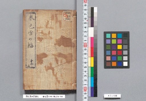 Spring Colors: Snowy Plum Blossoms, Part 4, Volume 11