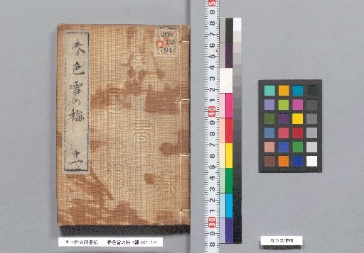 Spring Colors: Snowy Plum Blossoms, Part 4, Volume 12