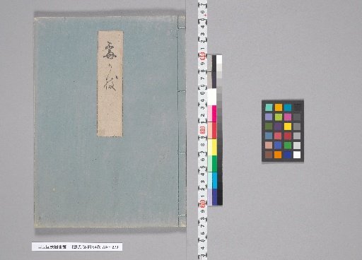 The Tale of Genji, Volume 54, [32] Plum Branch