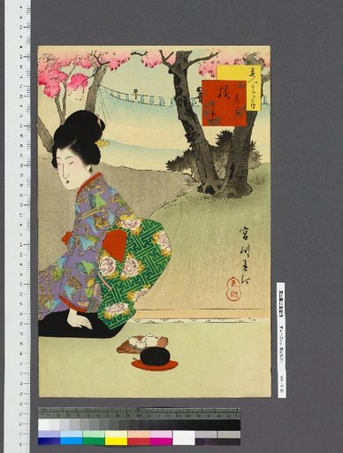 Beauties in Twelve Months: No. 3, Cherry Blossoms
