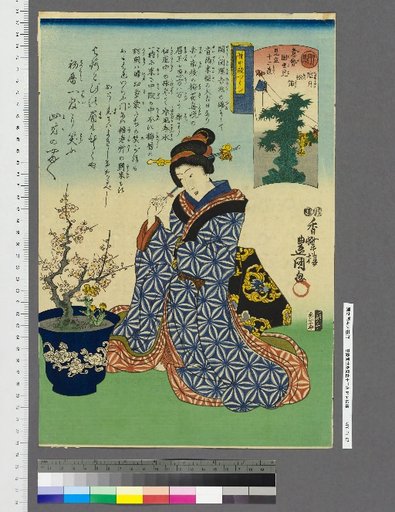 Ise Kosemi Mitate Twelve Branches, No. 6