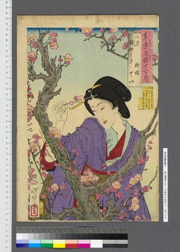 Tokyo Boasts Twelve Months 2