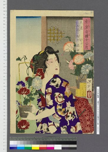 Tokyo Boasts Twelve Months 6