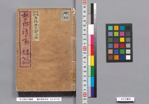 The Afterstory of Momotaro, 2 Volumes