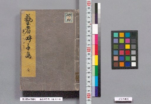 The Geisha's Calling Bird: 2 Volumes