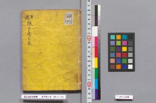Paper-Mache Tiger Scroll: 2 vols.