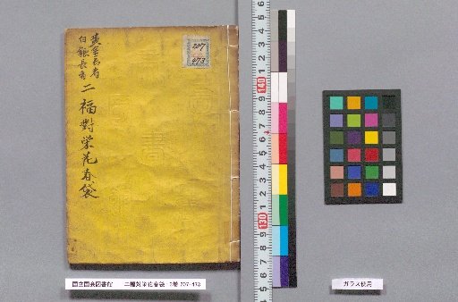 The Two-Panel Pair: Prosperous Flowers and Spring Bag: 3 Volumes