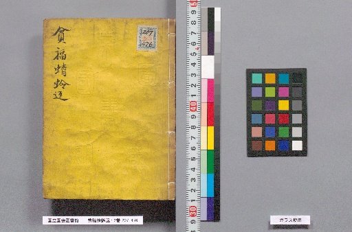 Poverty and Fortune: The Dragonfly Turn: 2 Volumes