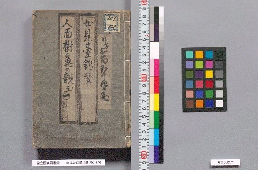 Women's Viewing Platform: Brocade Carriage: 3 Volumes