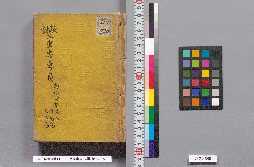 The Triple Loyalty and Filial Piety of Tada: 3 Parts, 9 Volumes