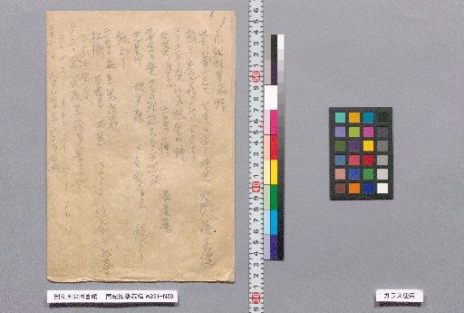 Draft Record of Medicinal Herb Gathering in the Southern Ki Region
