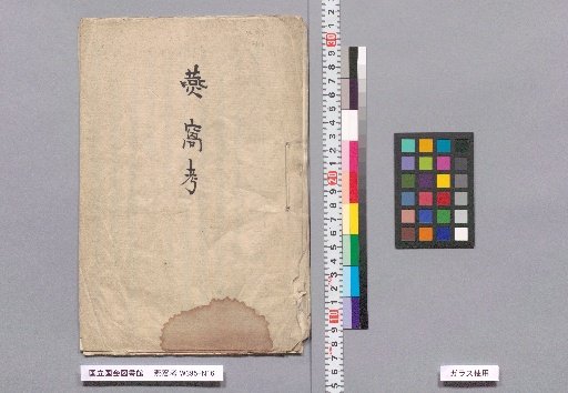 Examination of Bird's Nest