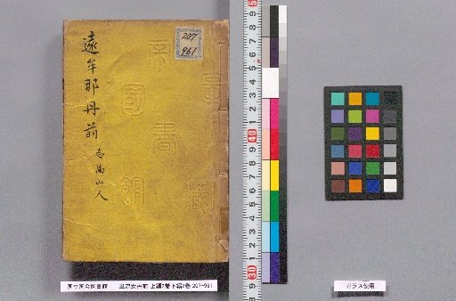 Elegant Onna Danzen, Part 1 (2 Volumes) and Part 2 (2 Volumes)