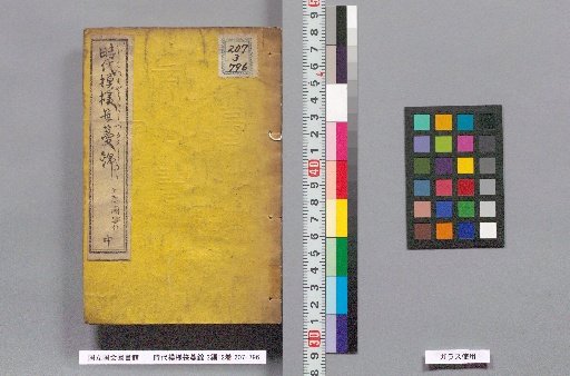Patterns of the Ages: Pine Vine Brocade, Part 1 of 3, Volume 12: Middle