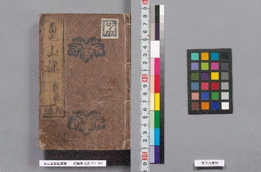 Butterfly and Kingfisher: Kameyama Dye, Second Part of Kameyama Dye