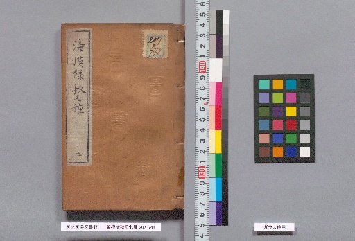Dye Patterns: Seven Varieties of Autumn: Two (End)