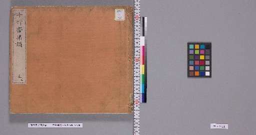 Shizhuzhai Album of Calligraphy and Painting, Unnumbered Volumes, Part 3