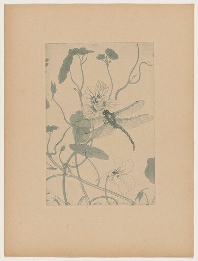 Fleurs (Flowers)